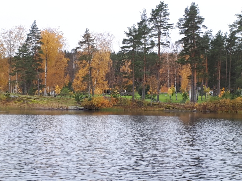 Ботанический сад Краснодара: 1200 растений со всего Советского Союза