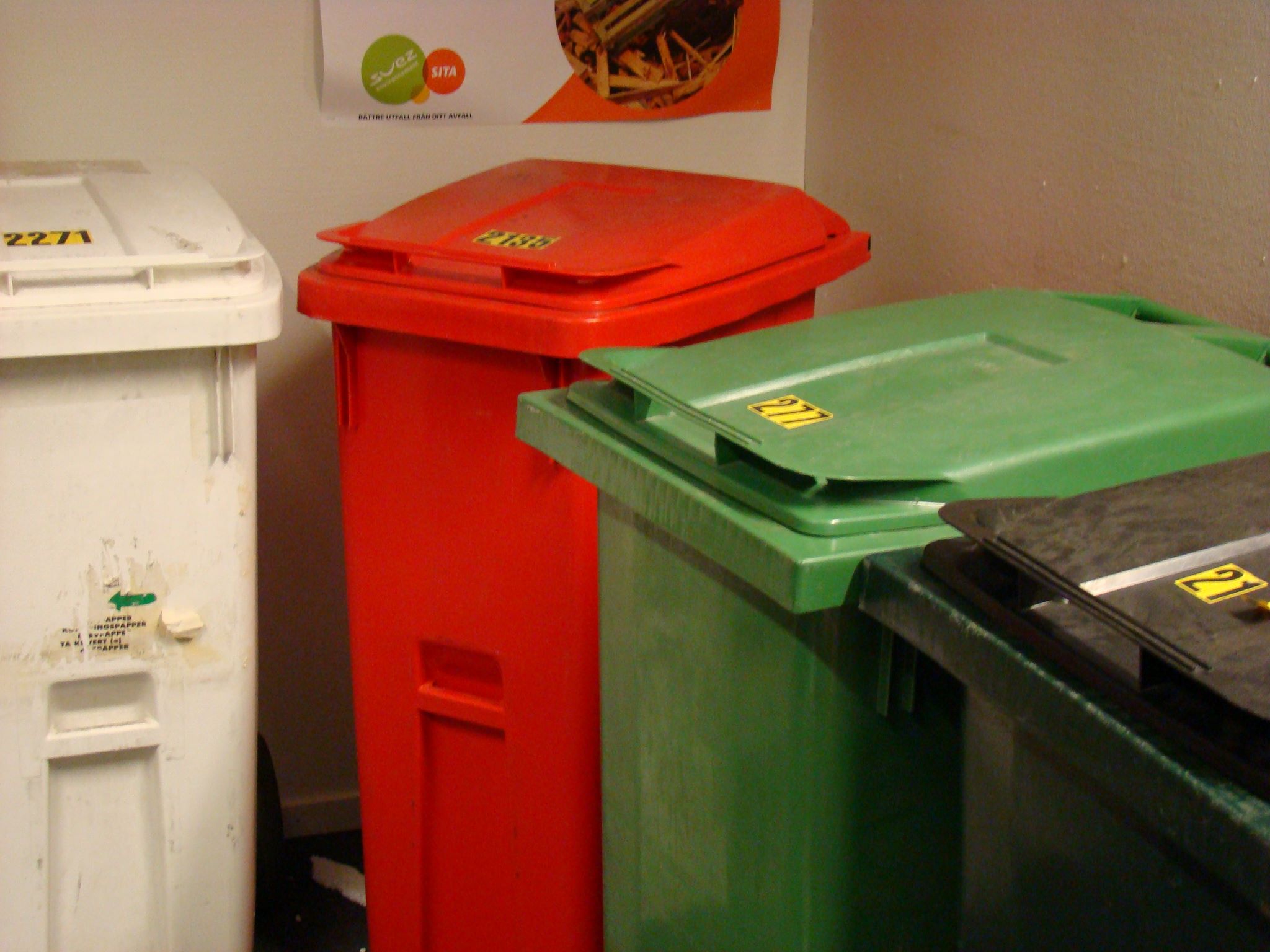Польза сортировки мусора для сохранения экологии