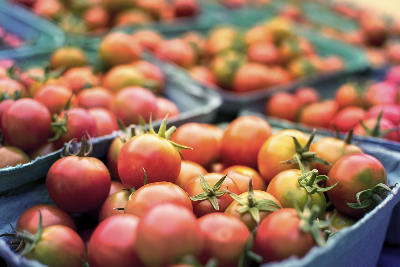 Влияние помидоров на здоровье человека