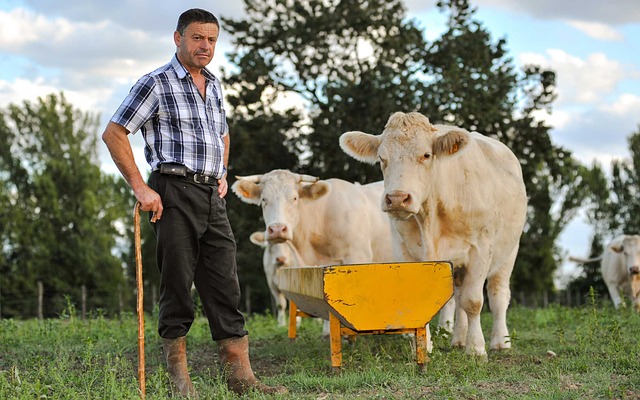 Деревенские продукты продлевают жизнь