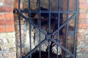 Смертельные дозы алкоголя для человека