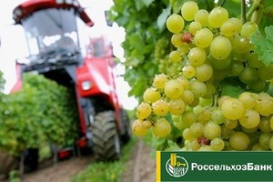 Кристофер Нолан адаптирует «Одиссею» Гомера для нового фильма