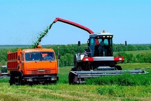 Проблема глобальной миграции народов в 21 веке: причины и последствия
