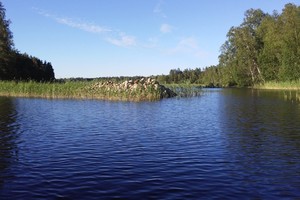 Жителям Кубани может угрожать Лихорадка Западного Нила