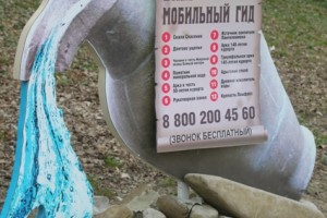 Краснодар от вируса может опустеть